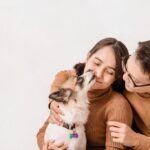 突然の別れでも慌てない！ペットの事故死・急死時の対応ガイド